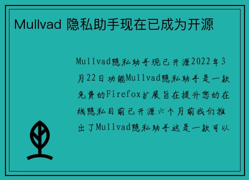 Mullvad 隐私助手现在已成为开源 