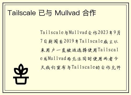 Tailscale 已与 Mullvad 合作 